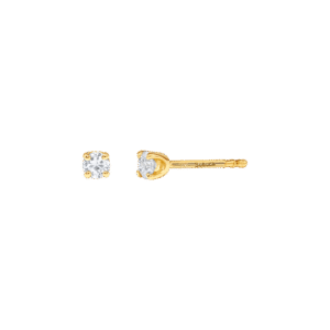 Inula earrings